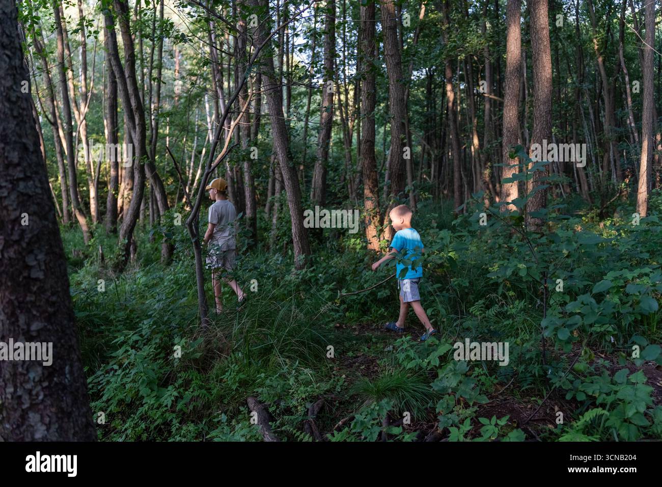 Due bambini esplorano la fitta foresta con alberi alti e sottobosco durante l'ora d'oro che filtra attraverso il baldacchino. Concetto di avventura all'aperto, c Foto Stock