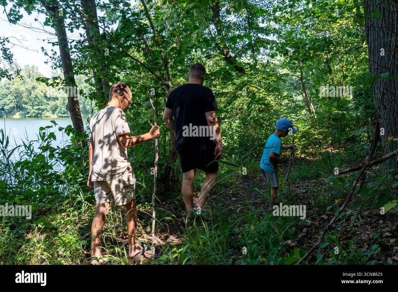 Le famiglie con bambini esplorano la foresta con i bastoncini da passeggio durante l'estate, immersi nel verde degli alberi e della vegetazione. Conce Foto Stock