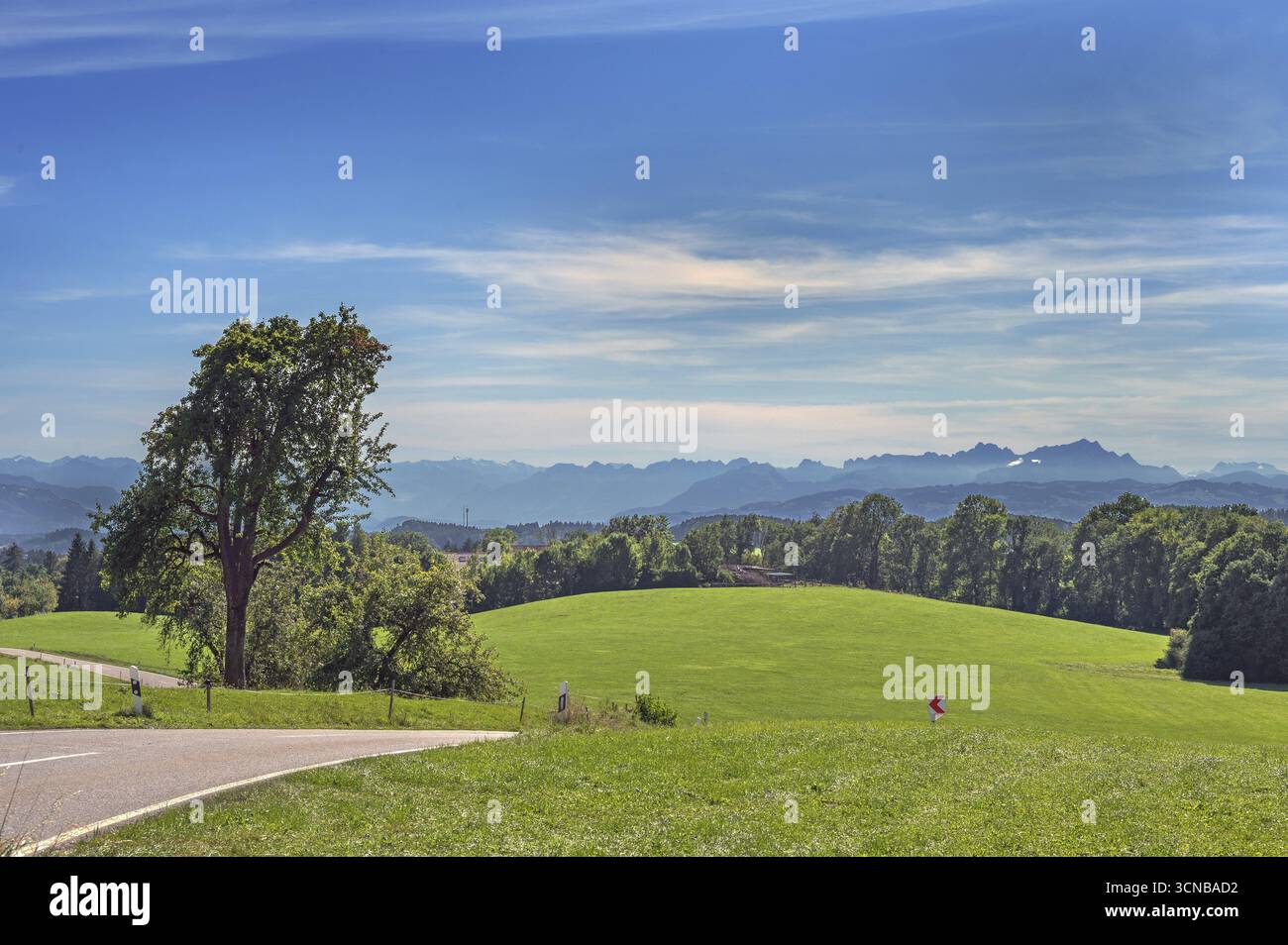 Cielo blu, nuvole di foehn, strada di campagna, prati verdi e Alpi austriache e svizzere vicino a Tautenhofen, Allgaeu, Baden-Wuerttemberg, Germania Foto Stock