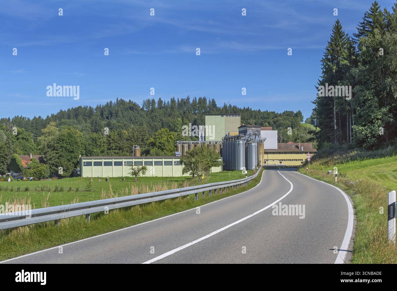 Cielo blu, strada di campagna, foresta mista e fabbrica con torri a silo vicino a Eglofs, Allgaeu, Baden-Wuerttemberg, Germania Foto Stock