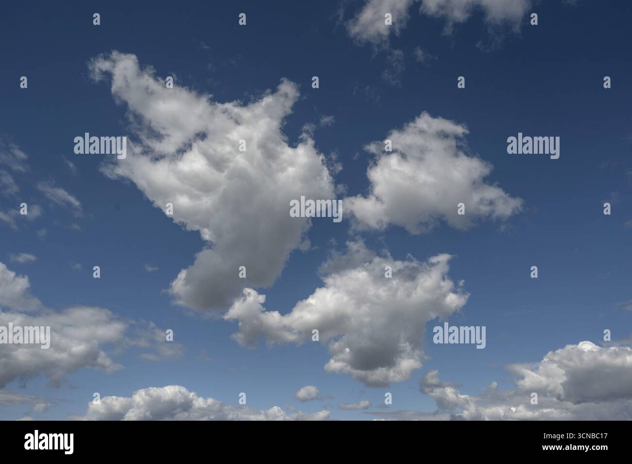 Cluster cloud (cumulus), Baviera, Germania Foto Stock