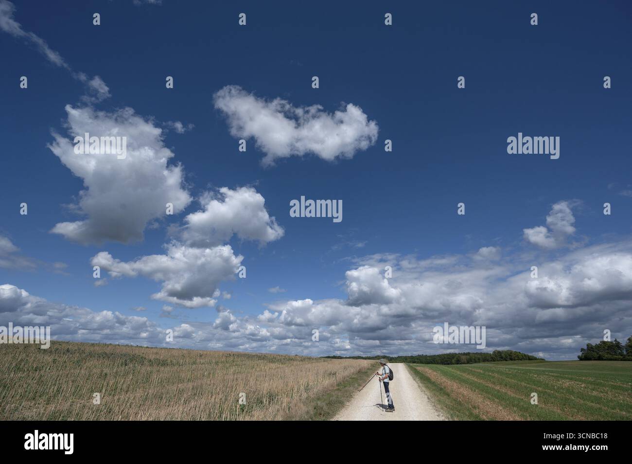 Escursione su un sentiero nel paesaggio della Franconia, cielo nuvoloso, Karsberg, alta Franconia, Baviera, Germania Foto Stock