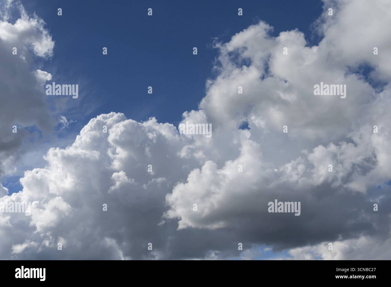 Cluster cloud (cumulus), Baviera, Germania Foto Stock