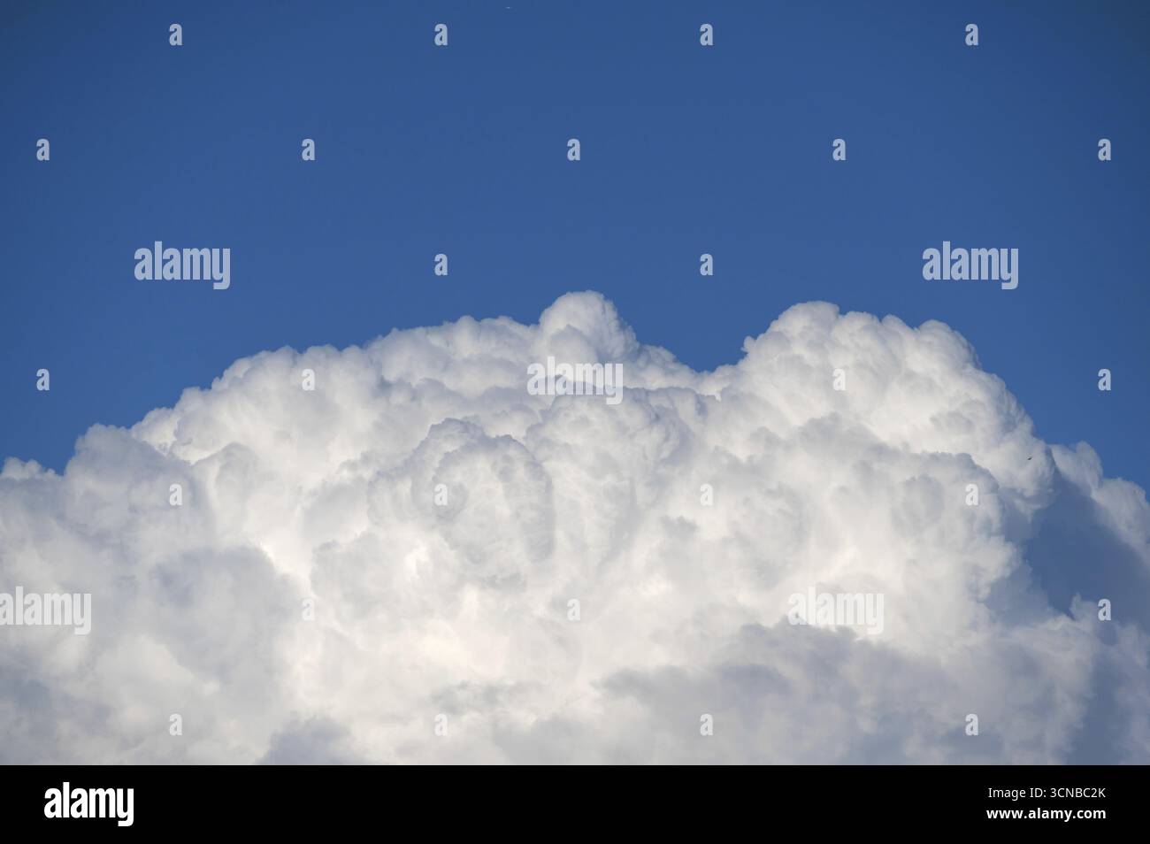Cluster cloud (cumulus), Baviera, Germania Foto Stock