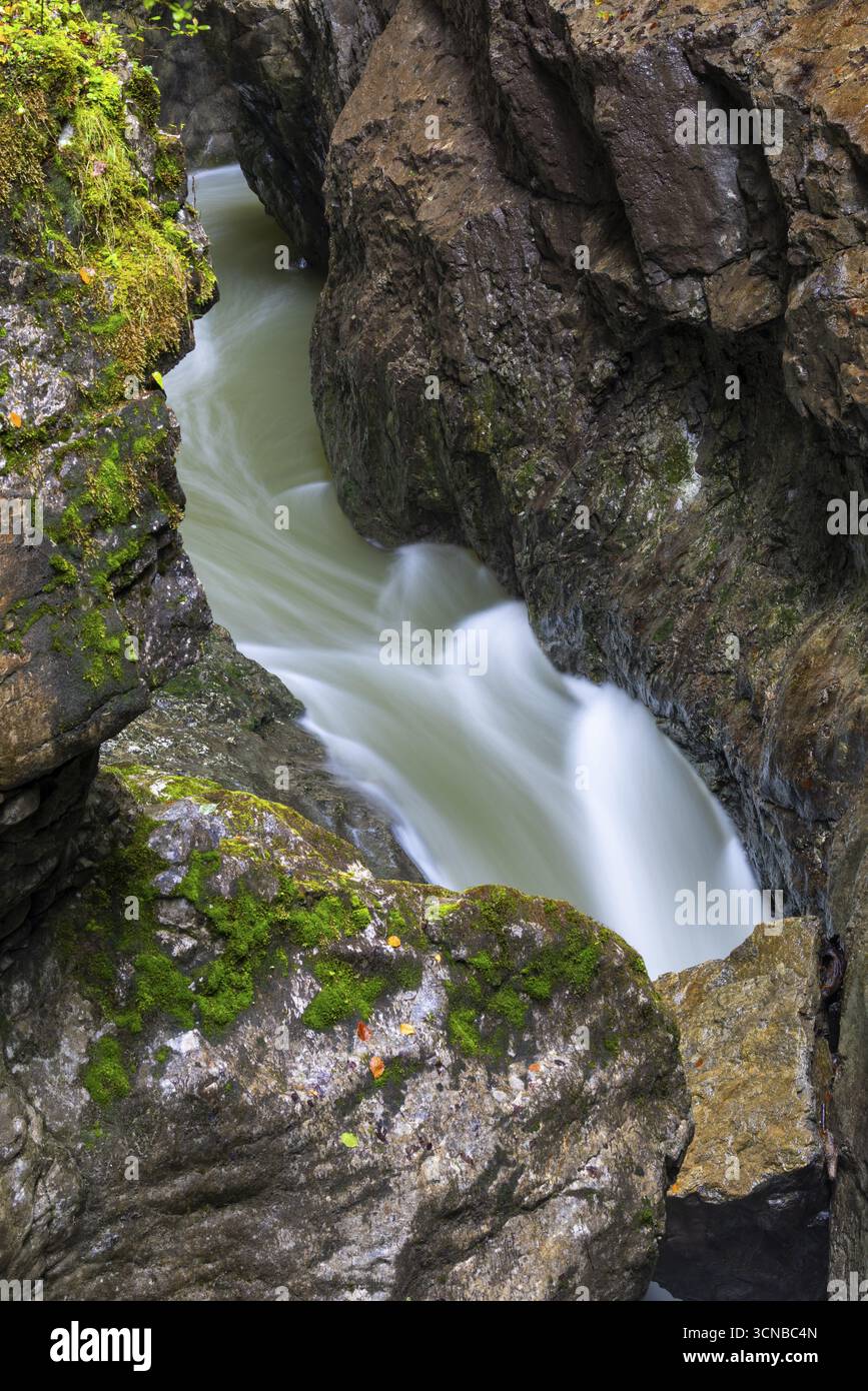 Versare acqua nella gola, masso di roccia intrappolato, Schrattenkalk, Breitachklamm, Oberstdorf, Alpi Allgaeu, Baviera, Germania Foto Stock