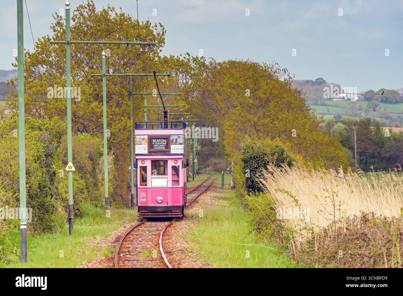 Seaton, Devon, Inghilterra, Regno Unito - 25 aprile 2025: Vista frontale di uno dei tram elettrici sulla Seaton Tramway, un'attrazione turistica nel Devon Foto Stock