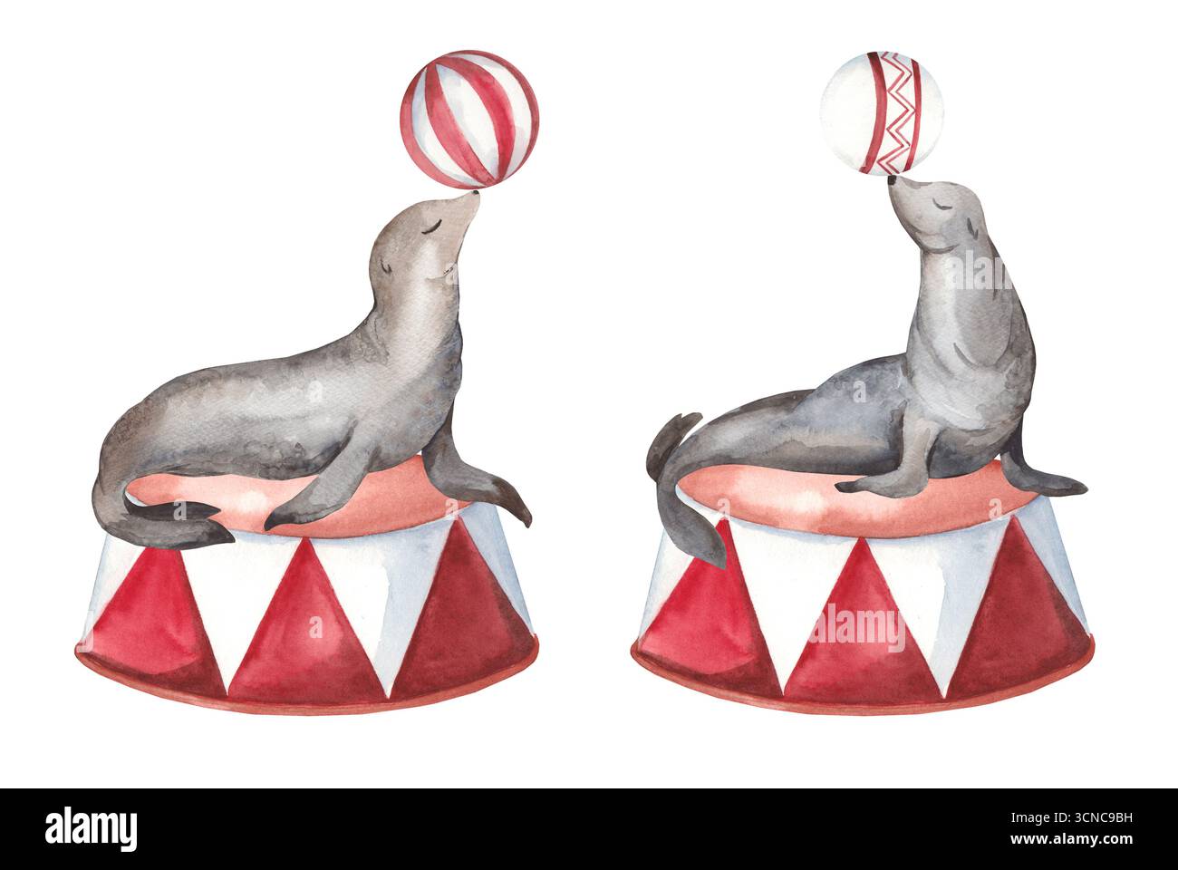 Set di foche in pelliccia acquerello che si bilanciano con sfere a strisce. Collezione di illustrazioni circensi vintage su sfondo bianco per cartoline e poster Foto Stock