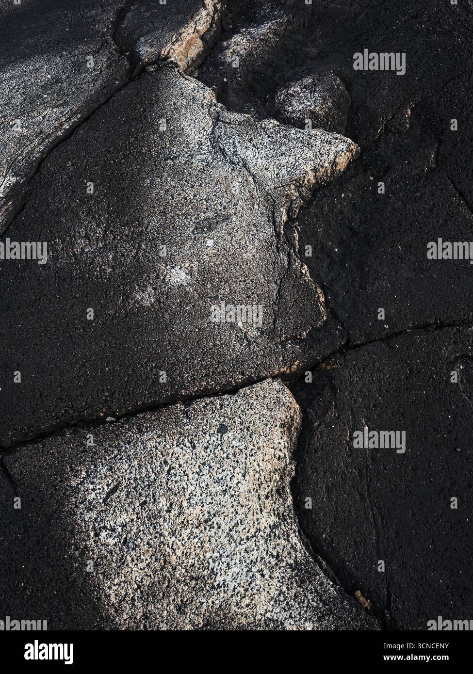 Le aspre scogliere mostrano un forte contrasto tra superfici scure e chiare, che si infrangono sotto le onde creando un notevole paesaggio costiero durante il giorno. N Foto Stock