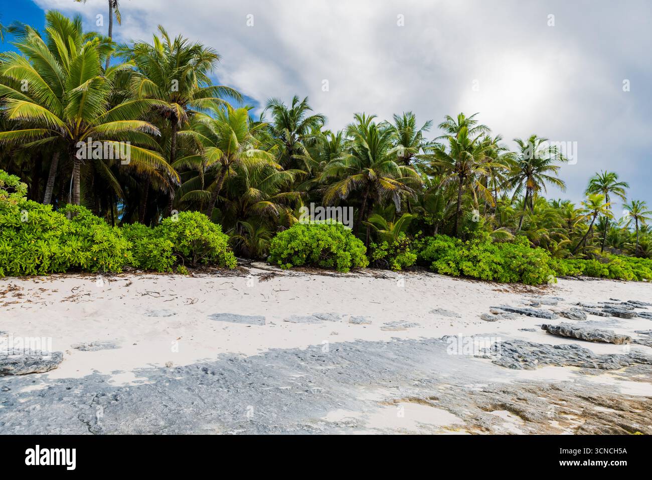 Spiaggia tropicale sull'isola delle Maldive, il posto migliore per rilassarsi Foto Stock