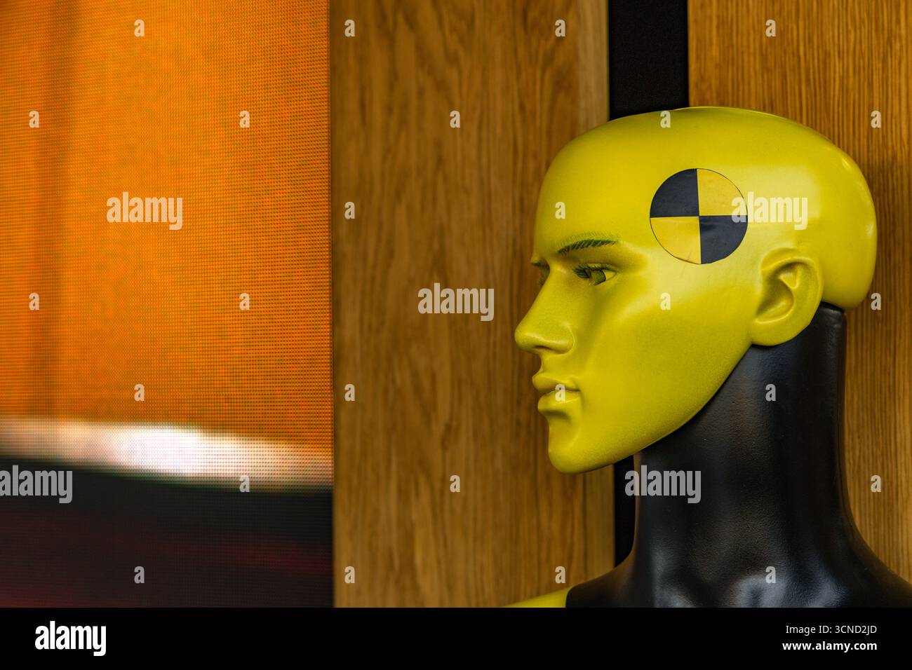 Crash test Dummy, testa manichino, imitazione umana, robot, intelligenza artificiale Foto Stock