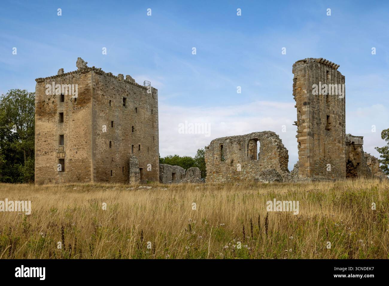 La rovina dominante di Spynie Palace, ex sede fortificata dei vescovi di Moray, si trova vicino a Elgin. Foto Stock