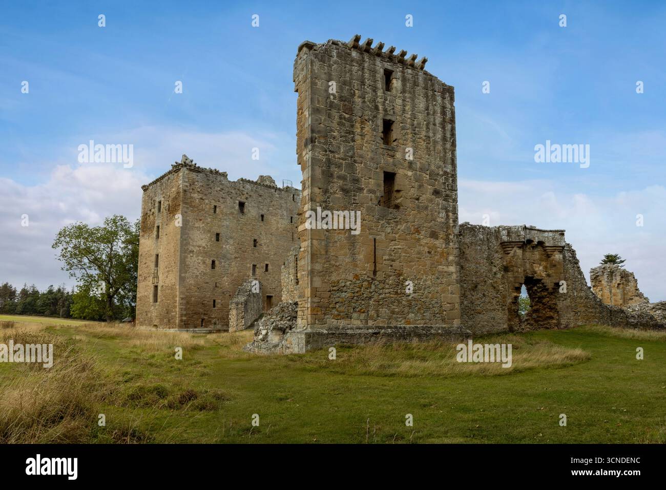 La rovina dominante di Spynie Palace, ex sede fortificata dei vescovi di Moray, si trova vicino a Elgin. Foto Stock