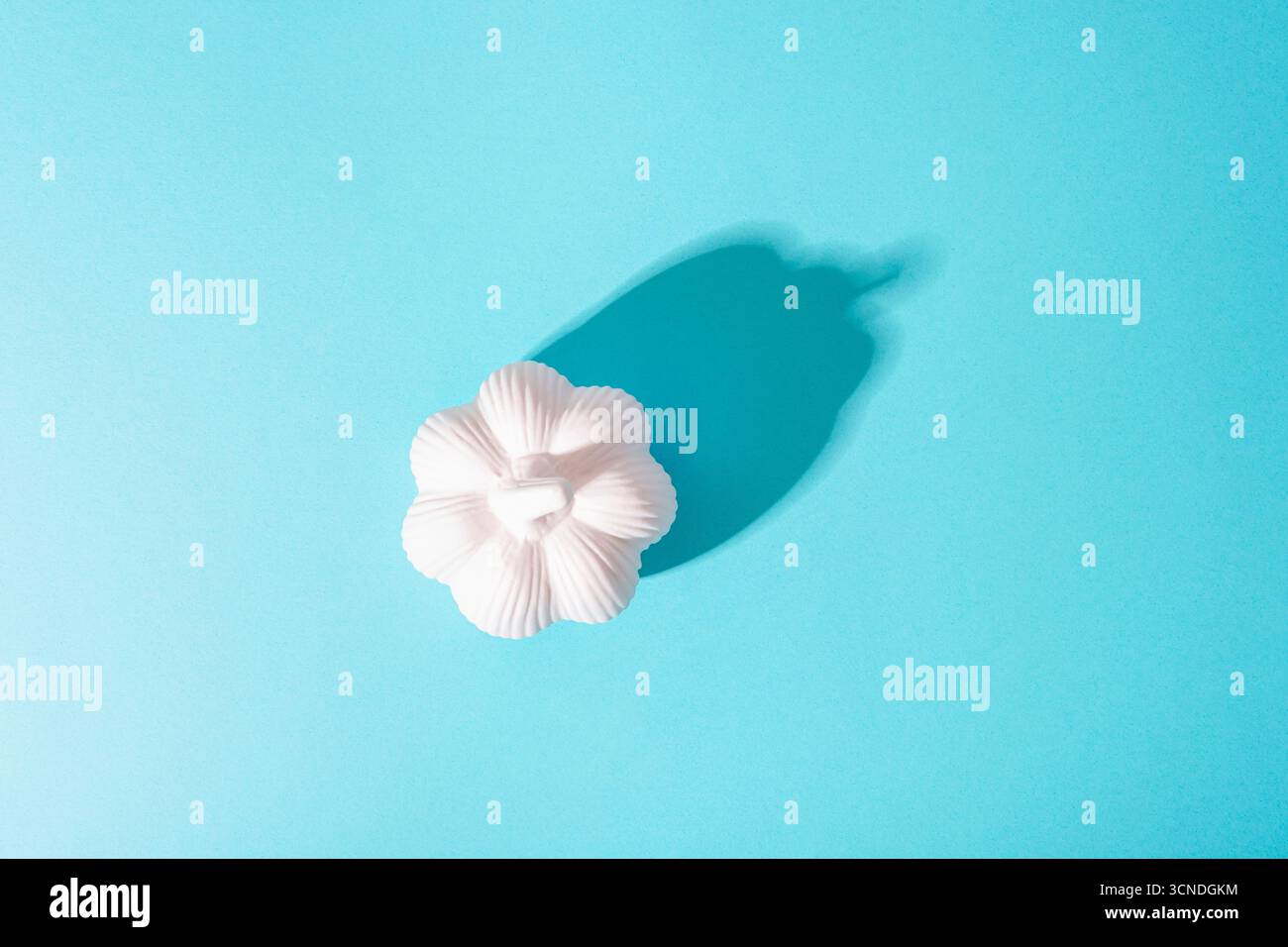 Zucca bianca con forte ombra su sfondo azzurro. Concetto di Halloween. Vista dall'alto, disposizione piatta. Foto Stock