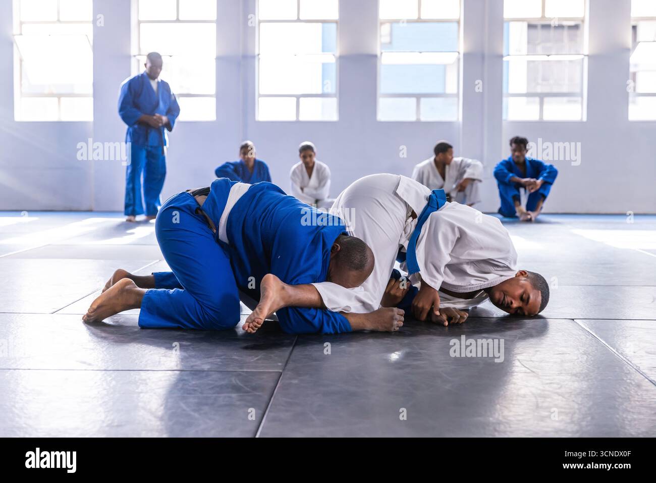 Diversi uomini adulti di medie dimensioni che indossano gis che si arrampicano sui tappetini nel dojo con grandi finestre a griglia Foto Stock