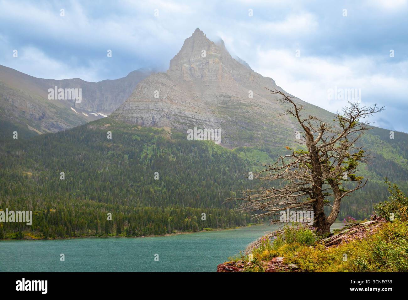 Il Saint Mary Falls Trail viene catturato mentre si snoda lungo il panoramico lago Saint Mary nel Glacier National Park Foto Stock