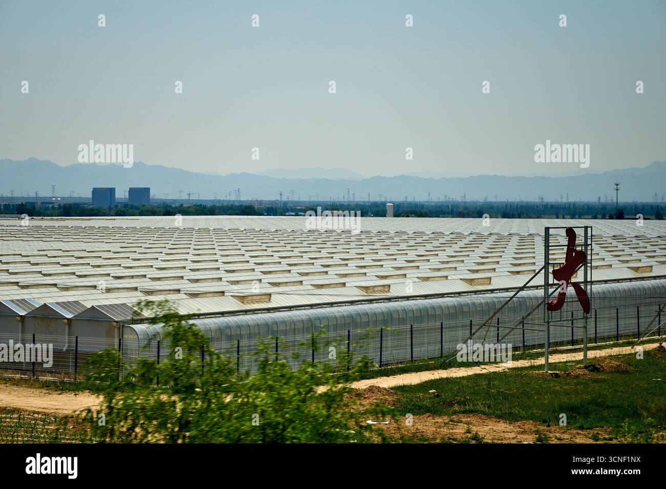 Grande serra in Cina Foto Stock