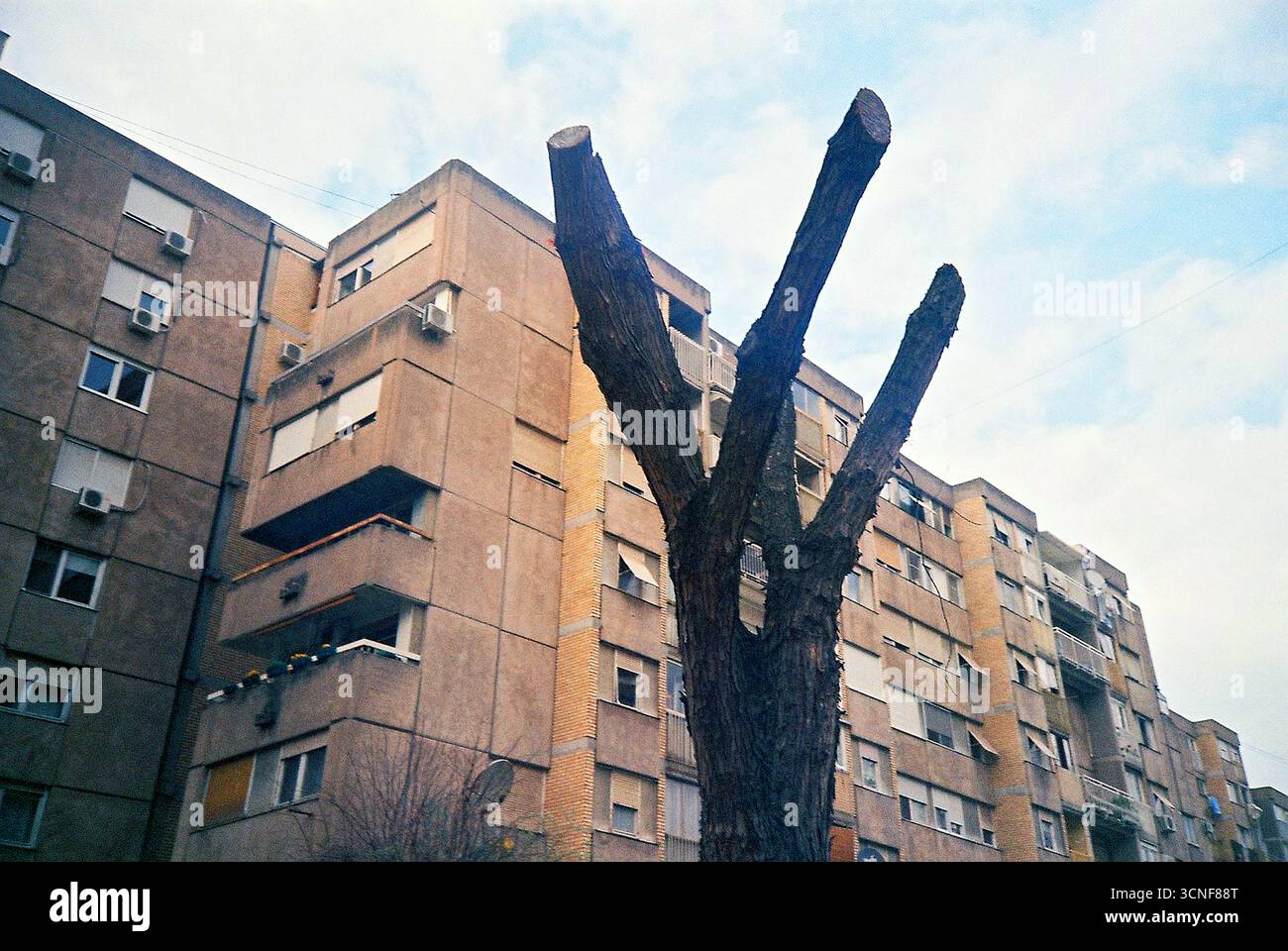 Archivio analogico documentario Photo Dairy Foto Stock