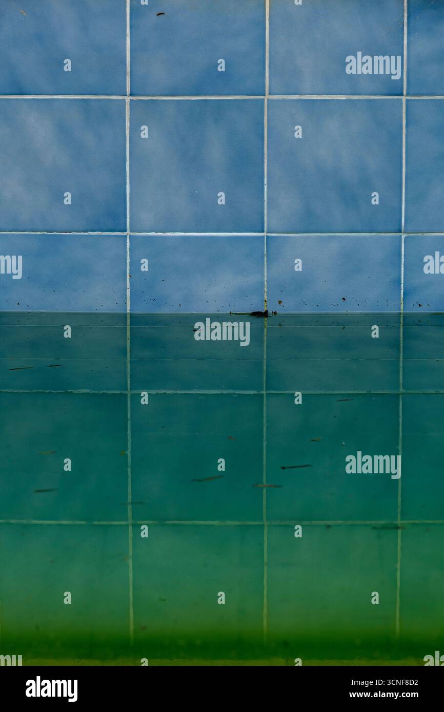 Piscina abbandonata con acqua verde torbida Foto Stock