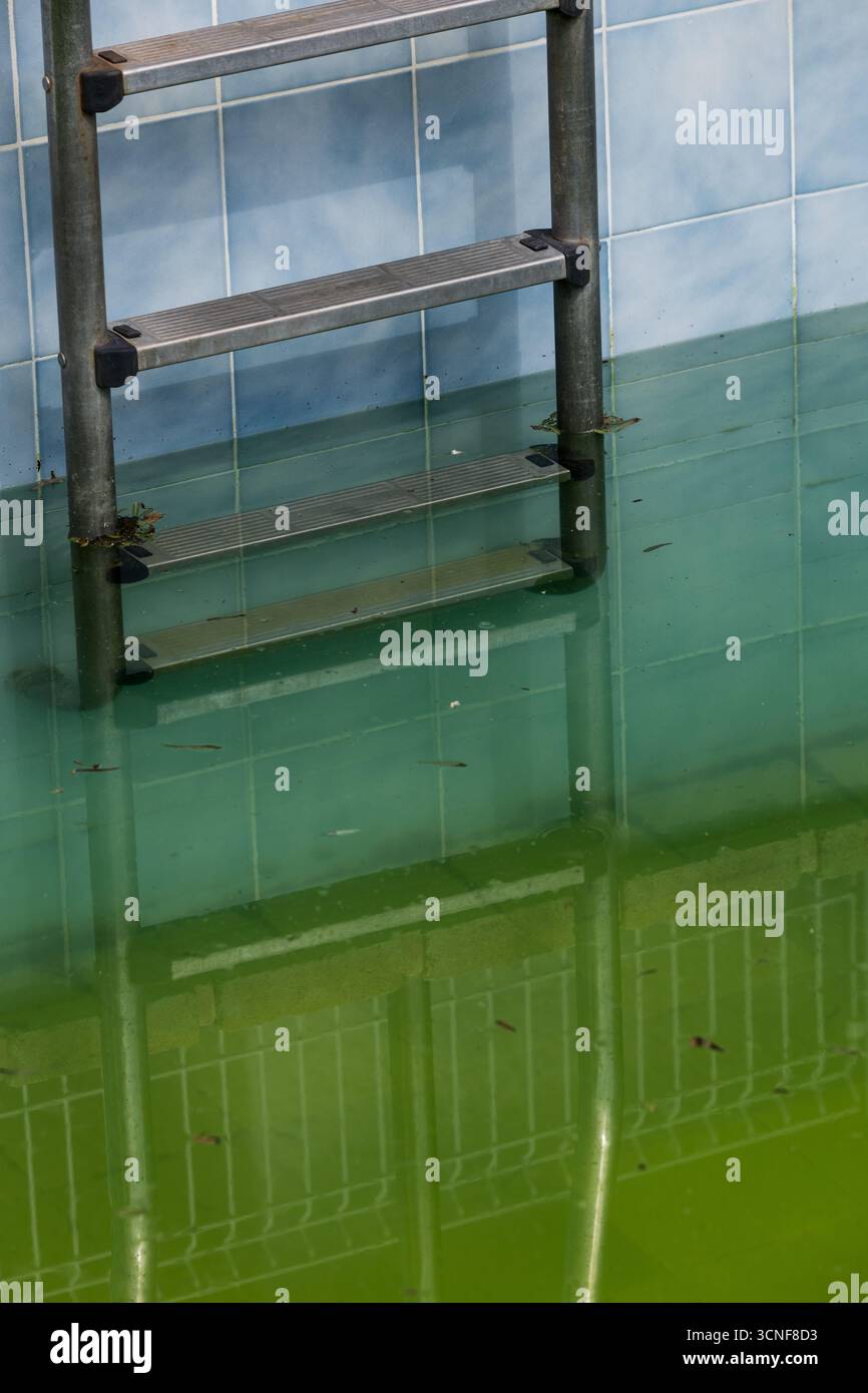 Piscina abbandonata con acqua verde torbida Foto Stock