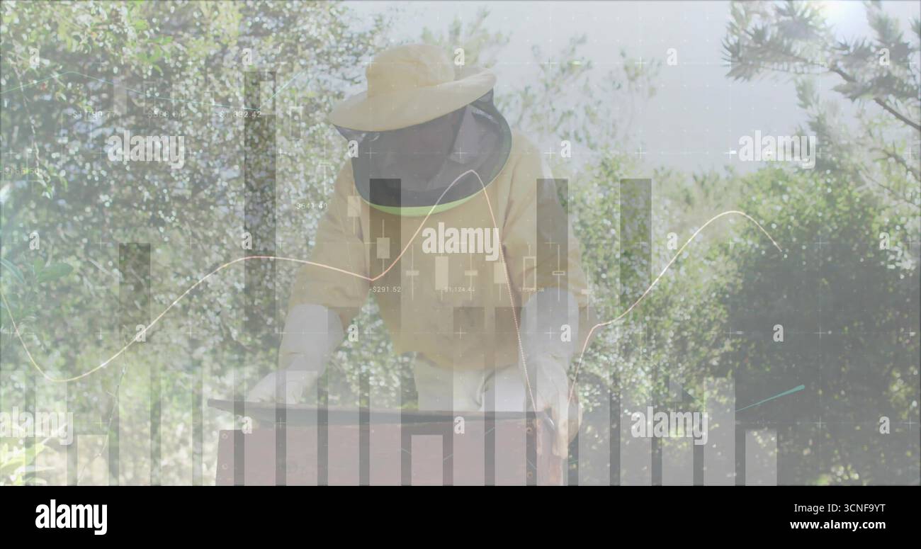 Ispezione della scatola dell'alveare nell'apiario, apicoltore anziano che indossa attrezzature protettive analizzando le carte finanziarie Foto Stock