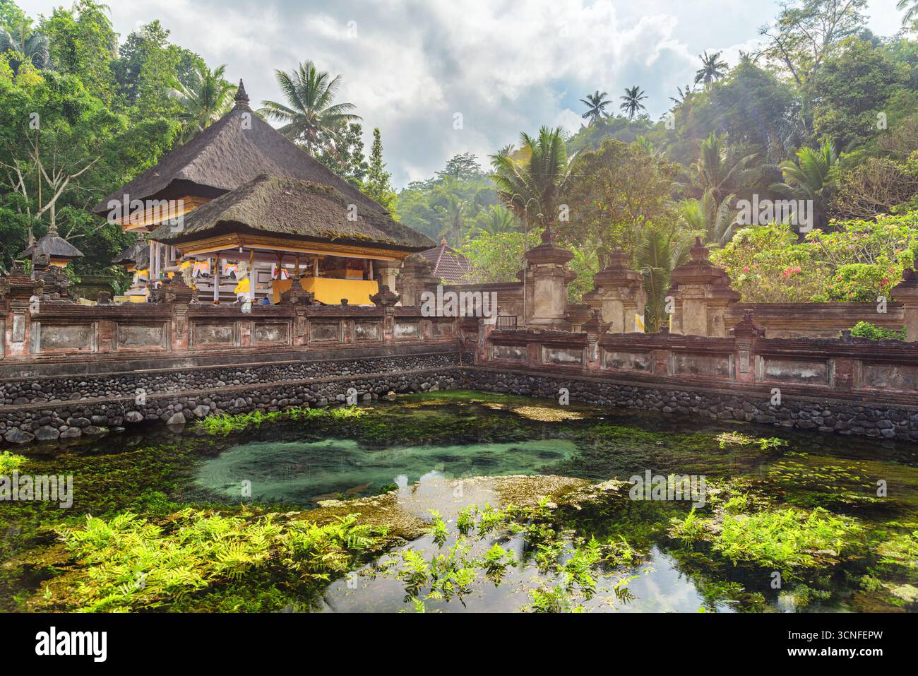 Lo stagno del tempio Tirta Empul a Bali, Indonesia Foto Stock