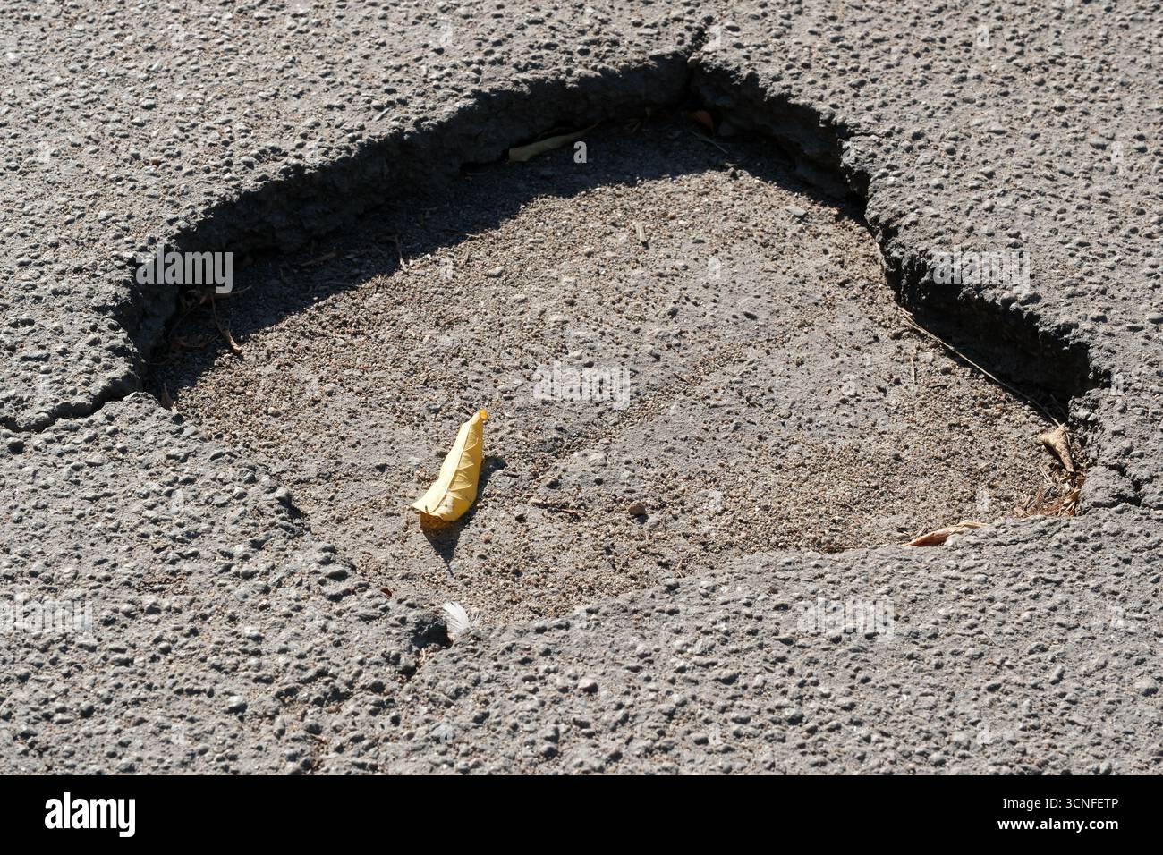 Una foglia gialla solitaria in una buca simboleggia la resilienza della natura in città. Foto Stock