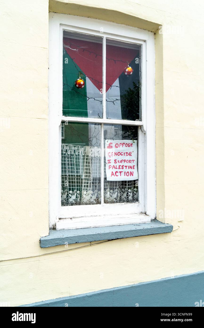 Manifesto di sostegno per l'azione palestinese scritto a mano nella finestra della casa con la bandiera Foto Stock