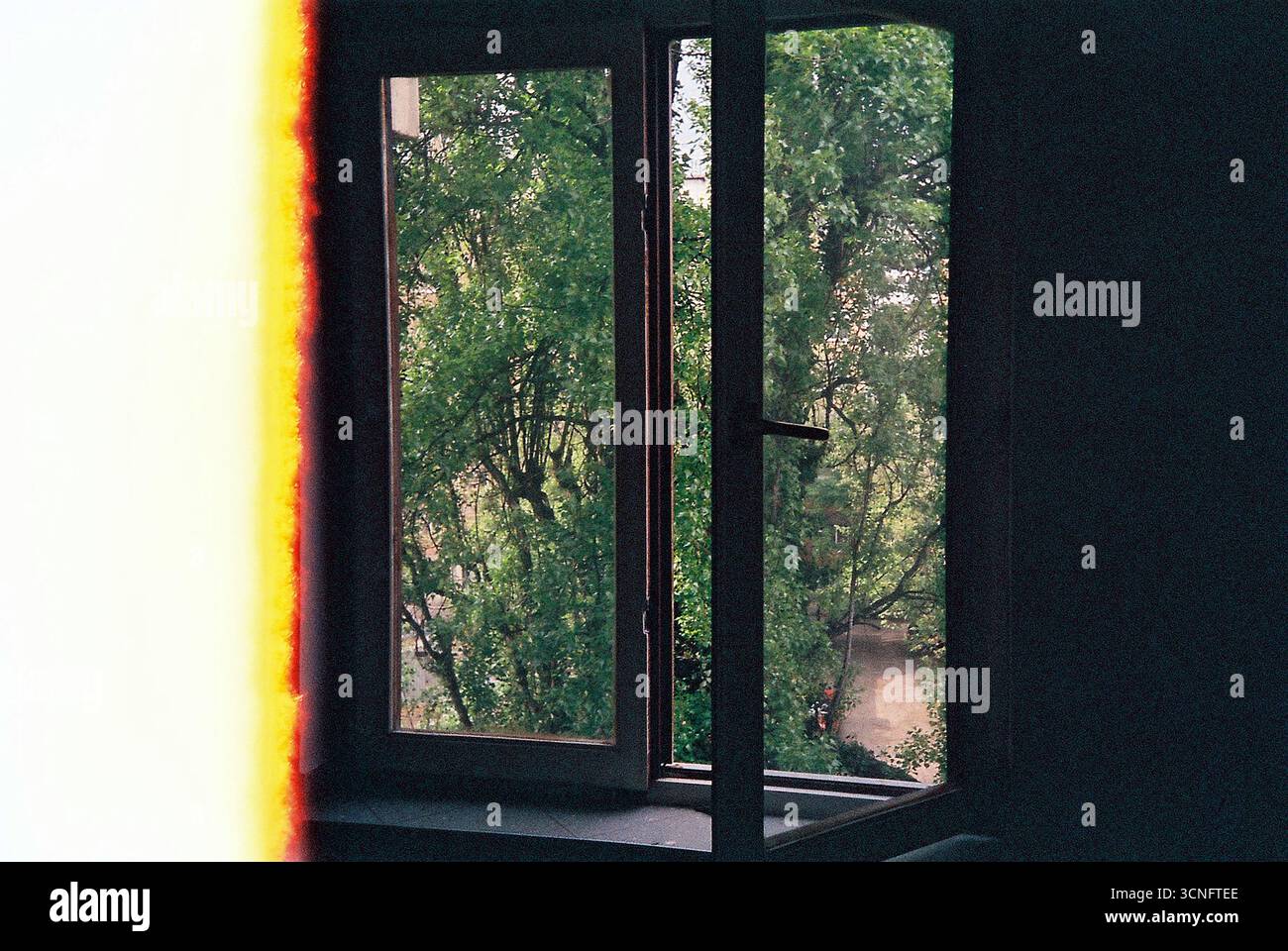 Vista da un edificio residenziale che si affaccia sugli alberi e sul verde che circonda la struttura. Un momento urbano tranquillo, la convivenza tra città e natura. Foto Stock