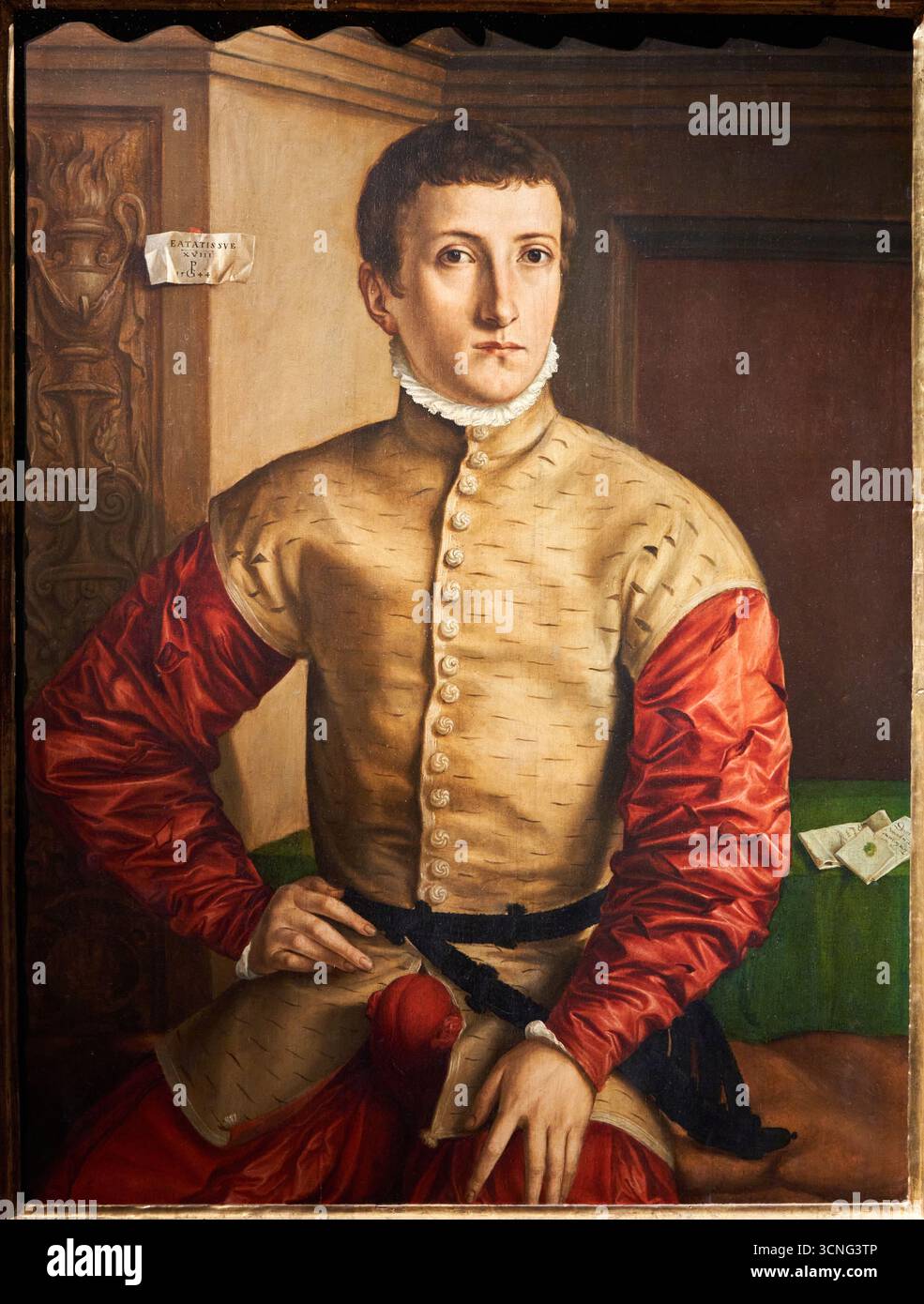Ritratto di un giovane, 1544, olio su tavola, GEORG PENCZ, Galleria degli Uffizi, Galleria degli Uffizi, Firenze, Firenze, Toscana, Italia Foto Stock