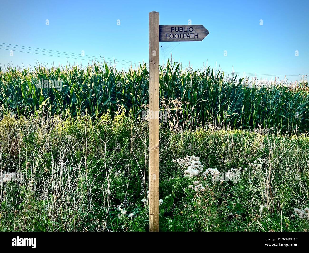 Una foto di un cartello stradale pubblico nel Norfolk rurale, nel Regno Unito Foto Stock