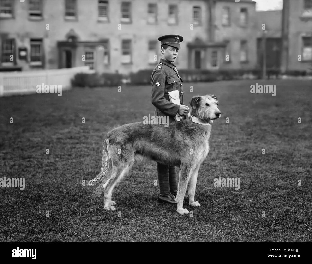 Un giovane membro delle guardie irlandesi a Waterford Barracks con la mascotte del reggimento, un Wolfhound irlandese. 1917. Foto Stock