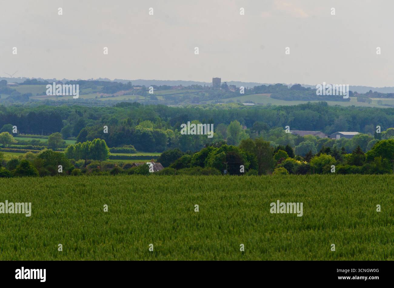 Paesaggio bucolico estivo di terreni agricoli nel Bedfordshire orientale, Inghilterra, Regno Unito Foto Stock