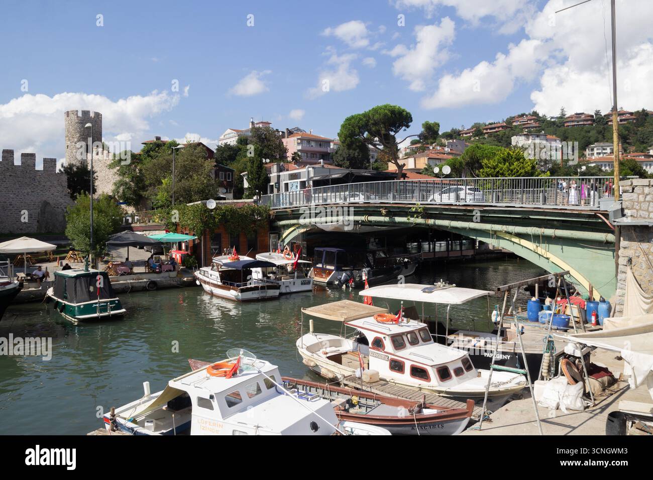 Fortezza di Anadoluhisari sulla costa asiatica del bosforo, Istanbul Foto Stock