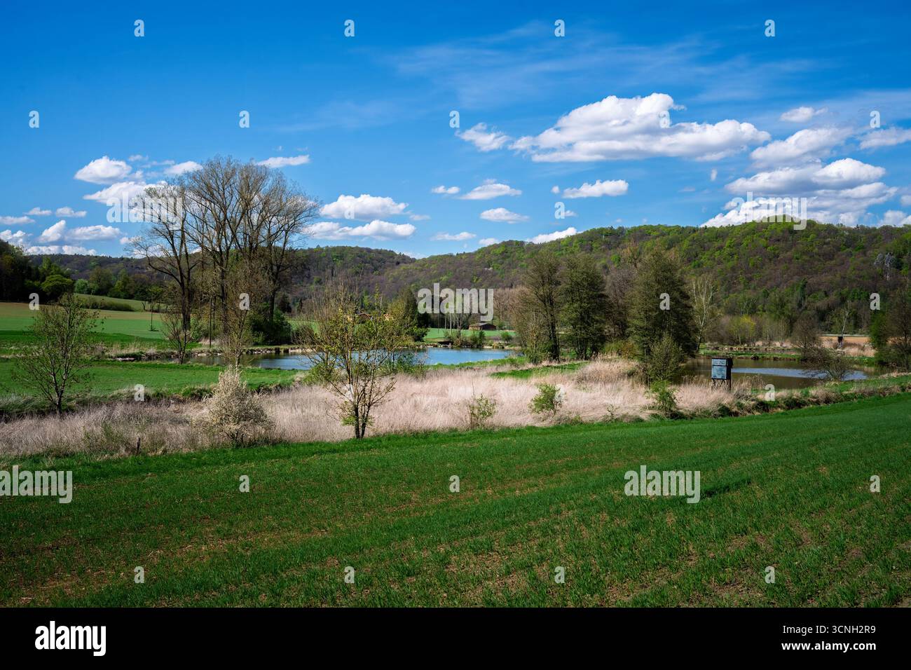 Paesaggio idilliaco nella valle dello Shtuttertal vicino a Neuburg Foto Stock