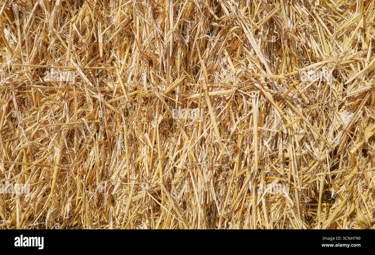 Foto ravvicinata di una balla di fieno, sfondo naturale. Foto Stock