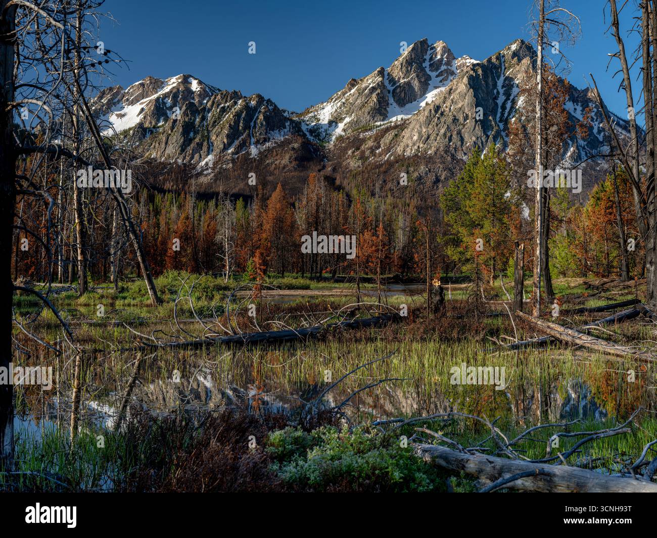 Area di fuoco vicino alle montagne Sawtooth dell'Idaho Foto Stock