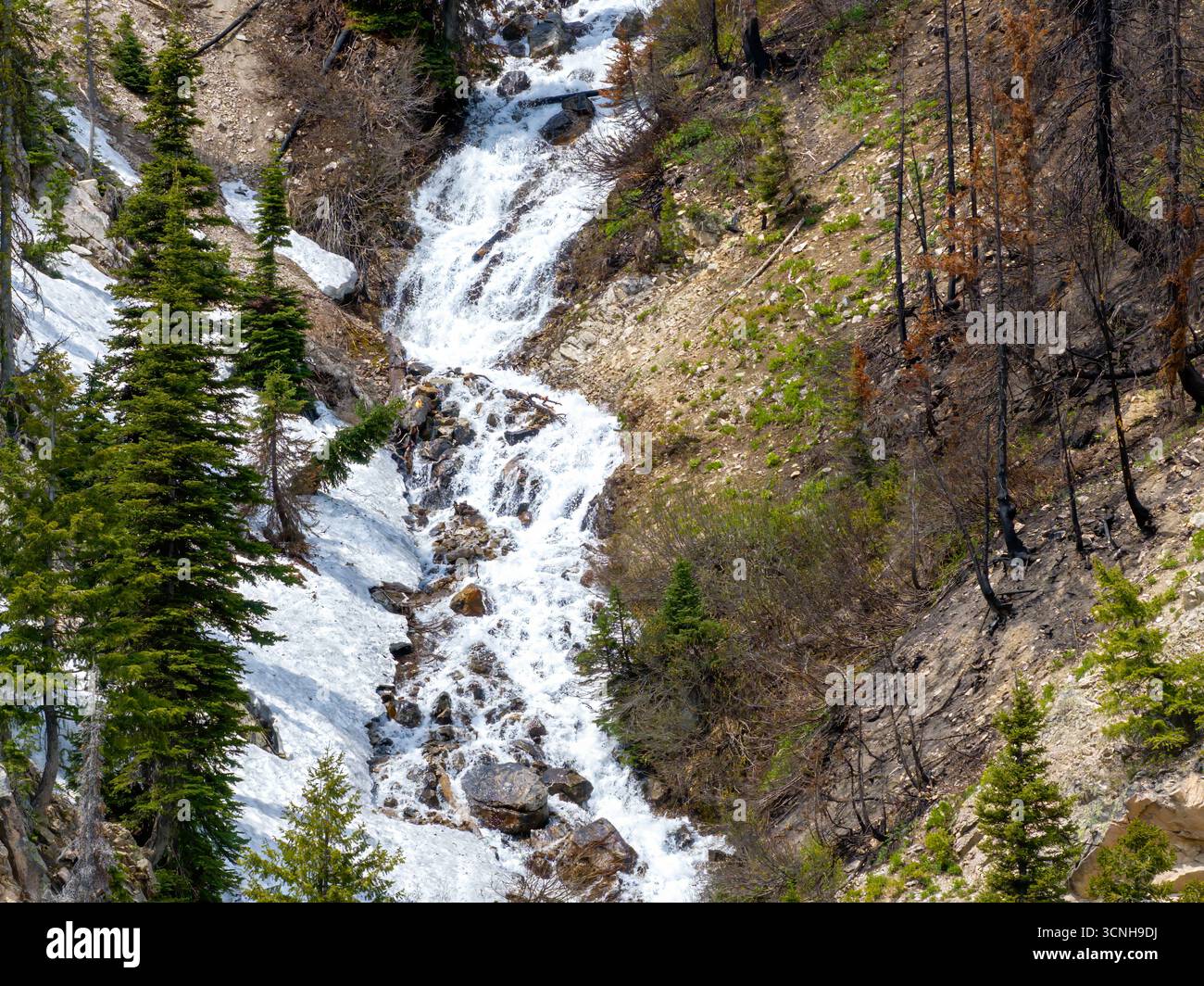 La neve primaverile costeggia un canyon con una piccola cascata Foto Stock