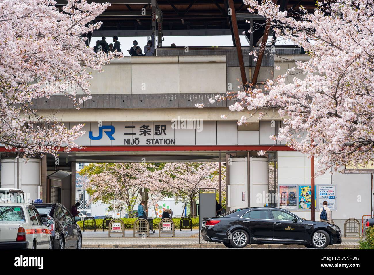 Kyoto, Giappone - 10 aprile 2025: Ingresso alla stazione JR Nijo incorniciato da alberi di ciliegio in fiore in primavera. Foto Stock