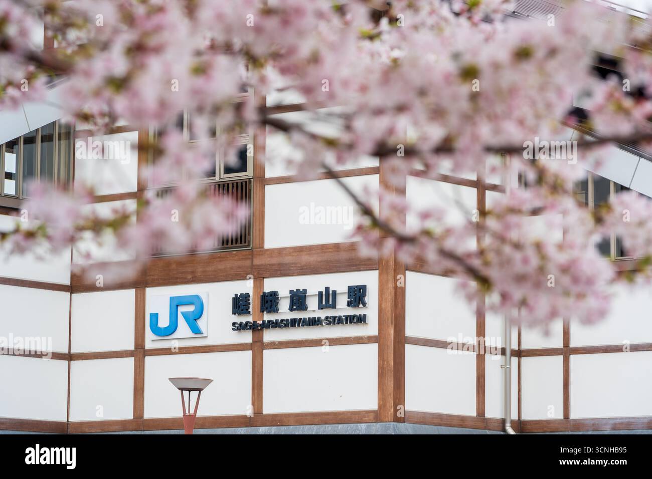 Kyoto, Giappone - 10 aprile 2025: Cartello della stazione JR Saga-Arashiyama visto attraverso i fiori di ciliegio in primavera. Foto Stock