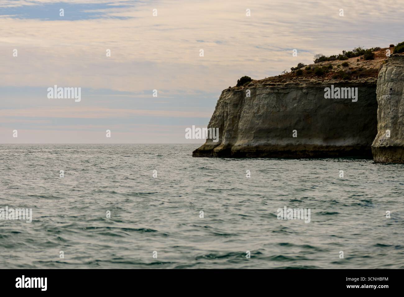 Fauna selvatica e turisti sulle rive di Puerto Madryn, Argentia Foto Stock