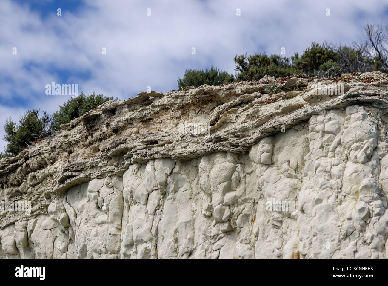 Fauna selvatica e turisti sulle rive di Puerto Madryn, Argentia Foto Stock