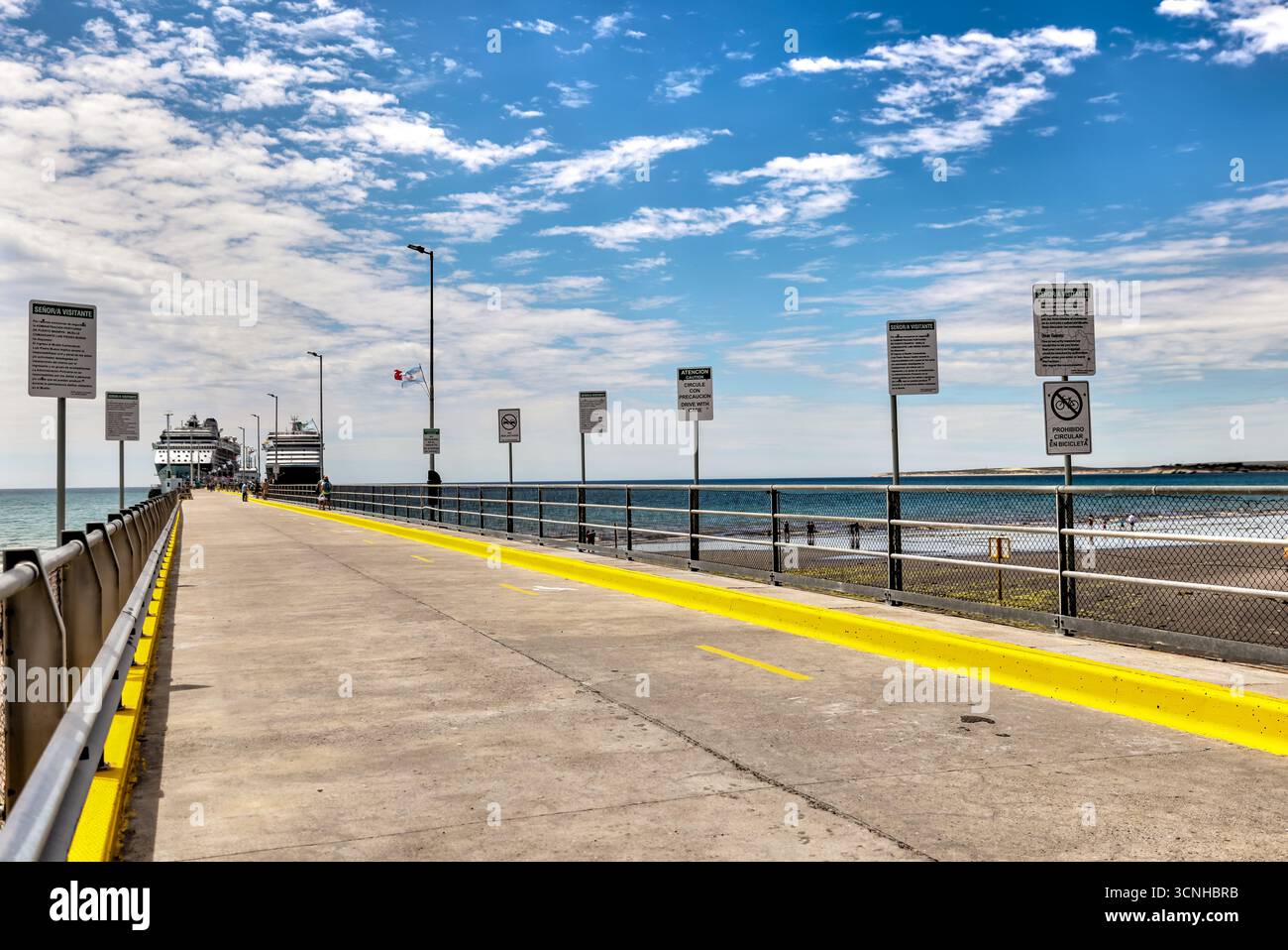 Fauna selvatica e turisti sulle rive di Puerto Madryn, Argentia Foto Stock
