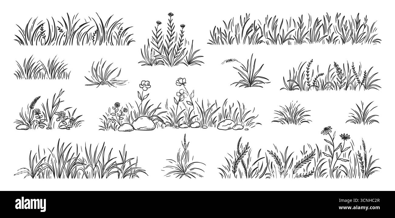 Scarabocchio d'erba. Prato disegnato a mano, struttura da giardino con lama o piccolo ciuffo di prato. Disegno in stile schizzo nero, campo di erbe fiore bianco. Bordo botanico decorativo. Insieme isolato di paesaggi naturali vettoriali Illustrazione Vettoriale