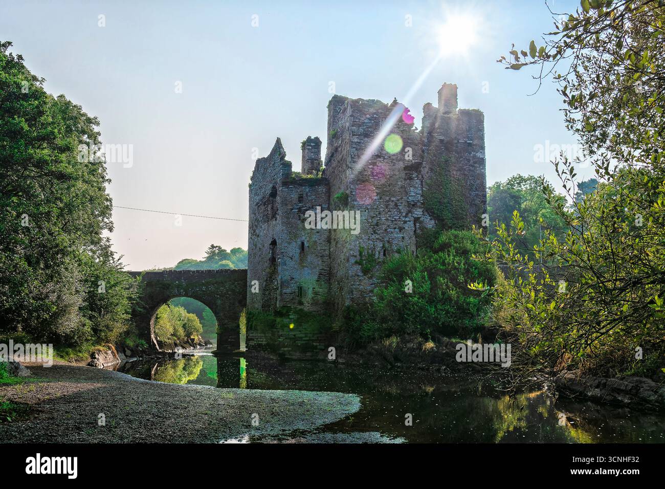 Rovine medievali del castello di Carrigadrohid sul fiume Lee, con pareti rivestite di edera e ponte ad arco in pietra alla luce del sole. Foto Stock
