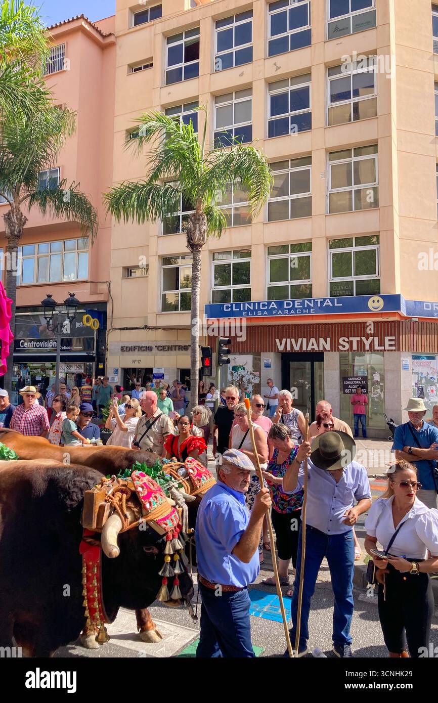 TORREMOLINOS, SPAGNA - 21 SETTEMBRE 2025: Celebrazione del tradizionale pellegrinaggio di San Miguel la domenica prima della fiera di Torremolinos, Spagna, con - Immagine stock catturata con smartphone