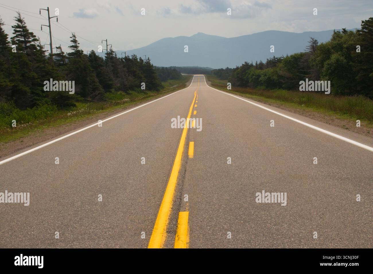 Strada che si estende verso montagne lontane sotto un cielo nuvoloso nel Gros Morne National Park di Terranova Foto Stock