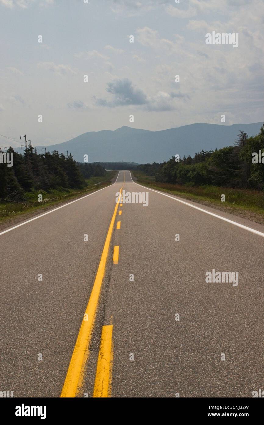 Strada che si estende verso montagne lontane sotto un cielo nuvoloso nel Gros Morne National Park di Terranova Foto Stock