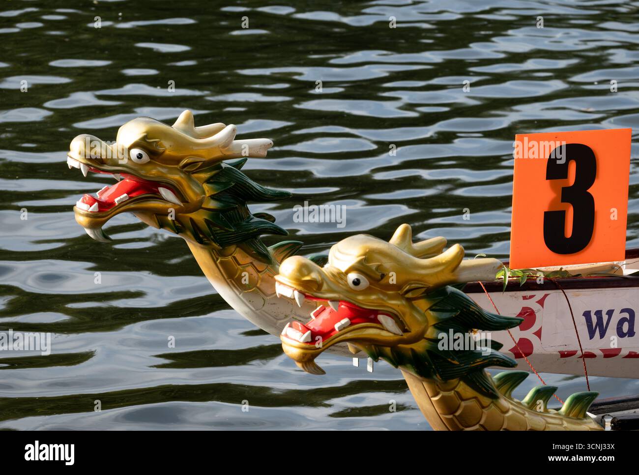 Dragon boats, River Avon, Warwick, Regno Unito Foto Stock