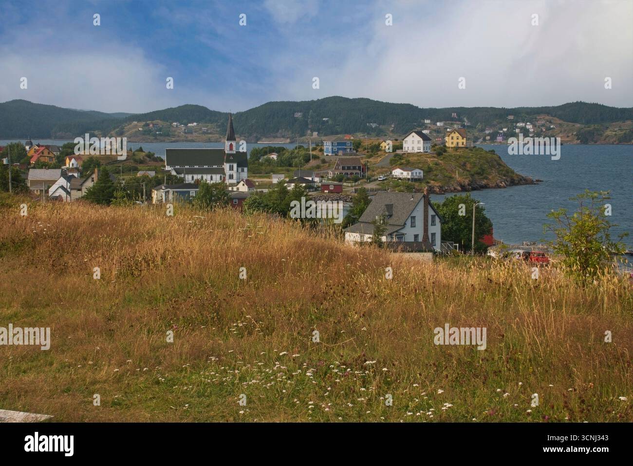 Trinity, Terranova, un affascinante villaggio costiero con una varietà di case colorate e una chiesa prominente. Le acque calme riflettono il cielo azzurro come selvaggio Foto Stock