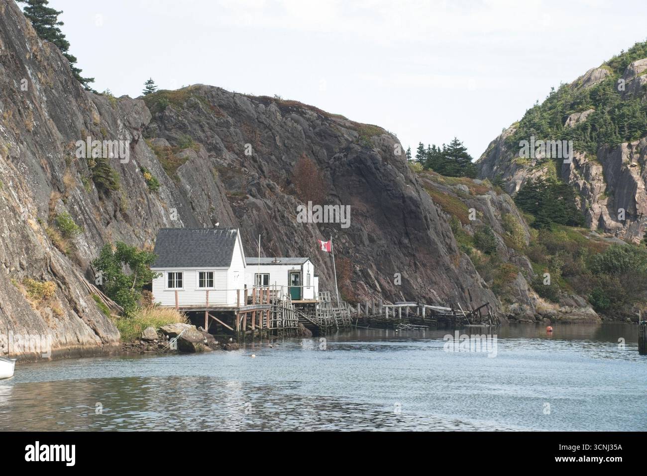 Quidi vidi Harbour, St. John's, Terranova, Canada, presenta un affascinante villaggio costiero con barche colorate ancorate da edifici rustici lungo il wat Foto Stock